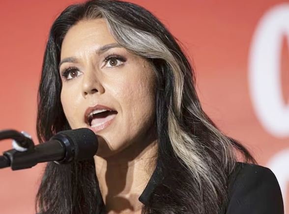 इस्लामिज़्म ना सिर्फ अमेरिका बल्कि पूरी दुनिया की आजादी, सुरक्षा के लिए खतरा