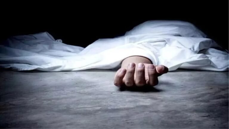 हीटर से आग लगने के कारण नानी और नाती की मौत 