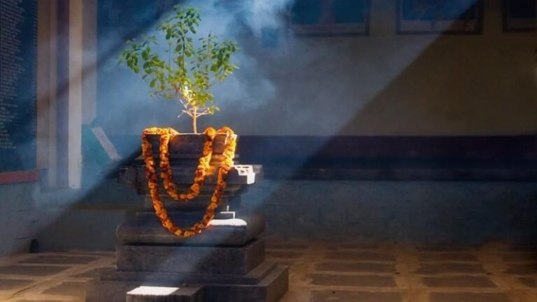 तुलसी के चमत्कारिक उपाय…25 दिसंबर को तुलसी पूजन दिवस पर करें ये काम, हर मनोकामना होगी पूरी!