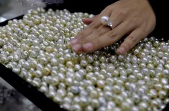 मोती की अंगूठी पहनने से पहले जान लें, कब और कैसे करें धारण