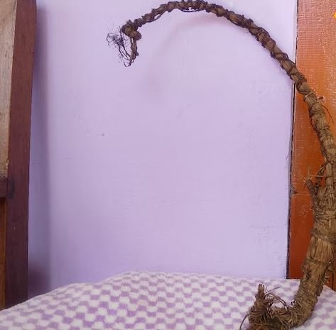 पहाड़ों में बर्मा के बिना अधूरा माना जाता है शुभ कार्य, जानें 108 तिनकों से बने देवताओं के इस पवित्र आसन का रहस्य